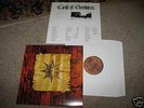 Circle of Ouroborus/Urfaust - Auerauege Raa... split LP