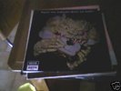 THE BLACK CAT BONES-ORIGINAL LP