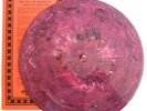 RESIDENTS 3rd Reich & Roll BOX SET Test Press CV w EXTR