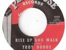 NORTHERN SOUL  TROY DODDS  