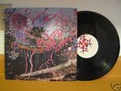 Animal Collective Here Comes the Indian Paw Tracks 2003