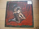 AFGHAN WHIGS Congregation vinyl LP