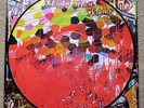 Yeah Yeah Yeahs : Fever To Tell (Picture Disc) Import