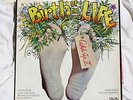 CATCH UP BIRTH OF SECOND LIFE 1976 CALIG