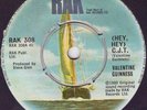 Valentine Guinness –Hey Hey C.J.T KBD Powerpop RAK HEAR
