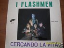 I FLASHMEN