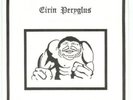 EIRIN PERYGLUS 'BRONSON' RARE WELSH MINIMAL SYNTH POP