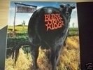 BLINK 182 -*Dude Ranch*,Green Day,NOFX,Bad Religion
