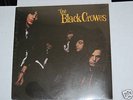 The Black Crowes 