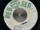 BIM SHERMAN Golden Stool RED SEA 7