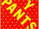Y PANTS 7