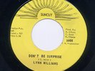 OBSCURE Florida Soul - LYNN WILLIAMS on SUNCUT
