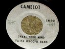 MI GARAGE PSYCH 45*YA HA WHOOPIE BAND*LISTEN
