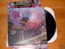 ANIMAL COLLECTIVE Here Comes The Indian LP Poster Rare