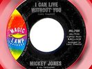 MICKEY JONES MAGICLAMP'66 KAREN CARPENTER SUNSHINE POP?