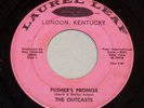 1960s THE OUTCASTS  LAUREL LEAF LABEL  RARE GARAGE 45