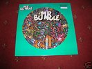 Mr Bungle 