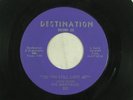 SHEFFIELDS garage 45 DO YOU STILL LOVE ME DESTINATION