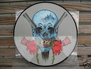 METALLICA  EVIL NEVER DIES PICTURE DISC