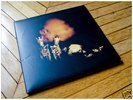 Pearl Jam RIOT ACT (2002) double vinyl 2 LP - RARE 