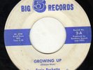 TEEN GARAGE ROCK- BIG FIVE-2--ERNIE ROCKETTE--HEAR BOTH
