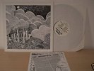 SHIDE AND ACORN Under The...UK 71 FOLK PSYCH LP MINT RE