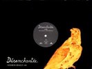 Vinyl Promo 