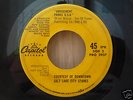 THE BEACH BOYS - Salt Lake City / Amusement Parks USA