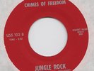 RARE GIRL GARAGE Chimes of Freedom Jungle Rock M- 45
