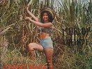 Salsa Lp Johnny Mara & Tito Chicoma - Tumba La Cana ???