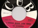 The Wanderers 45 CUB #9075  I Need You More 1960