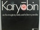Spontaneous Music Ensemble - Karyobin LP - 