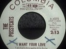 Pussycats North Soul 45 I Want Your Love Rider WLP