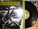ONE LIFE CREW LP INTEGRITY CONFRONT PULLING TEETH JUDGE