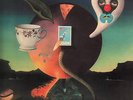 Nick Drake    Pink Moon