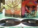 AMON DÜÜL II : TANZ DER LEMMINGE, Original, Top