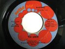 * PAT LEWIS Warning RARE NORTHERN Leon Ware 45 Listen