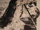 Chauves Pourris vinyl vaterland rock o rama french skin