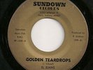 EL JUANS on SUNDOWN Indiana deep soul/ doo-wop 45 RARE