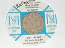 THE BEATLES Ask Me Why RARE WLP VJ PROMO 45 RECORD EP