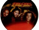 RARE Picture disc: BeeGees | SPIRITS HAVING FLOWN