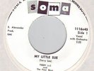 TERRY LEE & THE POOR BOYS - My little Sue Rockabilly 45