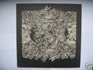 Organum Ikon David Jackman Sol Mara DOM Heemann Mirror