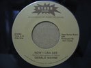 GERALD WAYNE Now I Can See OHIO MODERN SOUL/BOOGIE 45