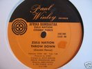 DISCO RAP/Afrika Bambaataa - Zulu Nation Throw Down