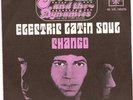 FLASH and the DYNAMICS:Electric latin soul