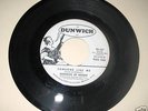 Shadows Of Knight - Someone Like Me 45 RARE PROMO