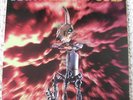 BECK  Mellow Gold LP NM 1st Press