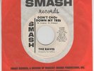 RAVES garage 45 SMASH “Don’t Chop Down My Tree”  HEAR