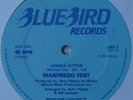 MANFREDO FEST  -  Jungle Kitten  (12